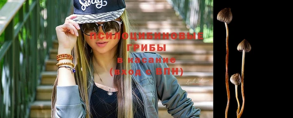 дмт Липки
