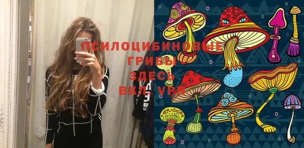 дмт Липки