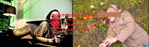 дмт Липки