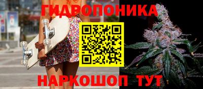 МДПВ Гусев