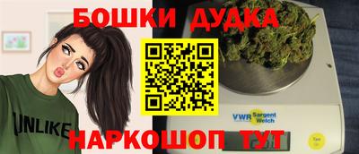 МДПВ Гусев