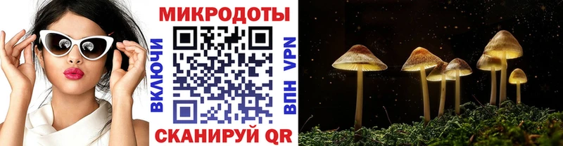 Псилоцибиновые грибы мицелий  Стрежевой 