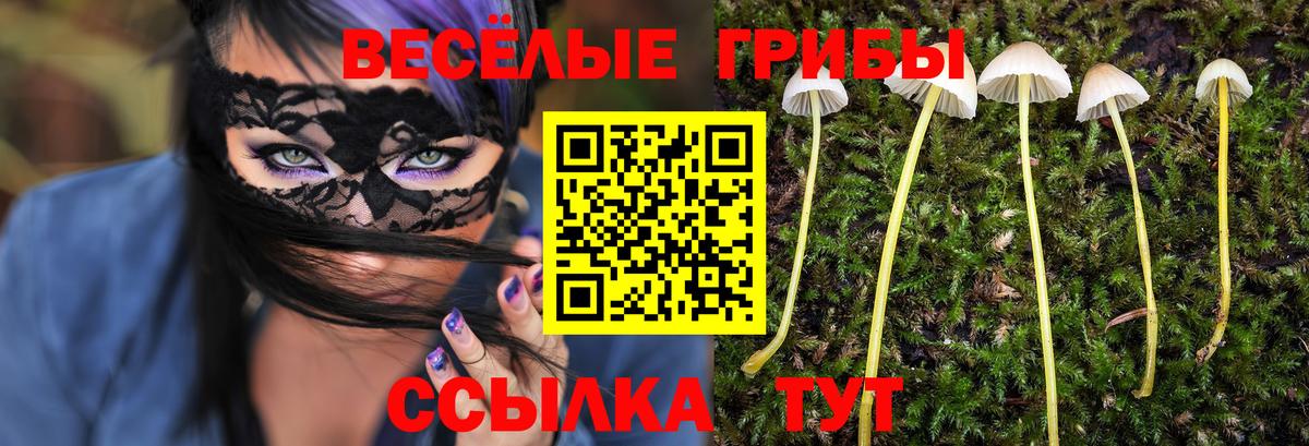 Галлюциногенные грибы Psilocybine cubensis  Вход с VPN  Псилоцибиновые грибы Magic Shrooms  Стрежевой 